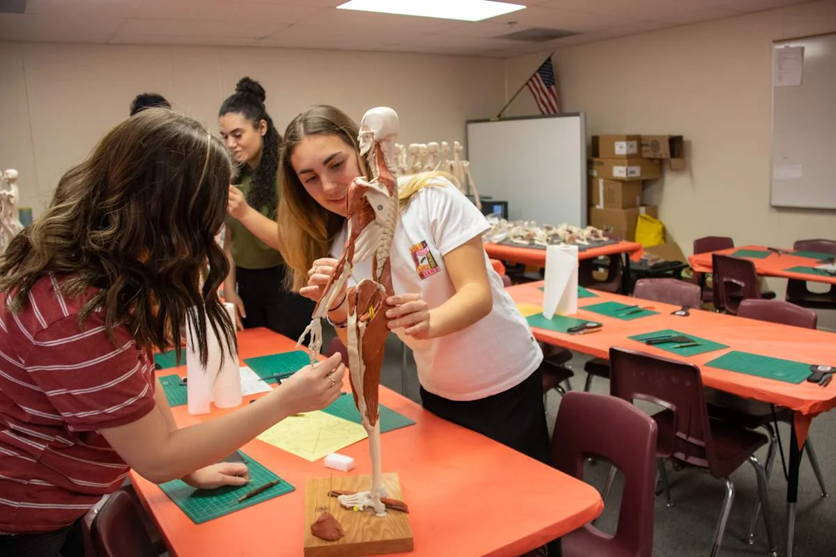 Students examining an anatomy model at Gilbert High School, an example campus in Gilbert Public Schools, Arizona